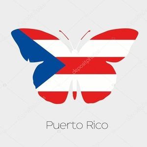 Meet your Posher, Mary mariposa